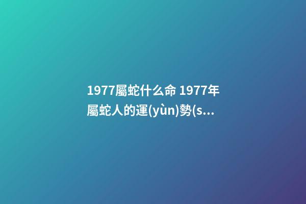 1977屬蛇什么命 1977年屬蛇人的運(yùn)勢(shì) 1977年屬蛇人的一生運(yùn)勢(shì)-第1張-觀點(diǎn)-玄機(jī)派
